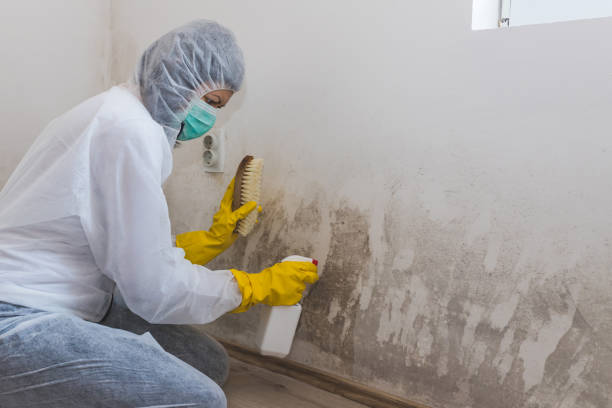 Best Crawl Space Mold Removal  in Larimore, ND