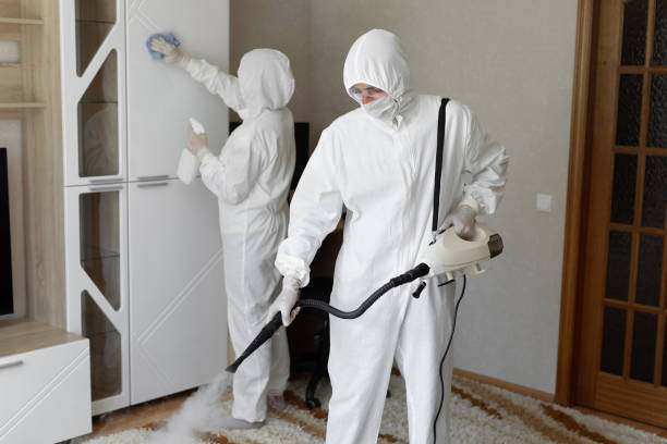 Best Certified Mold Removal  in Larimore, ND