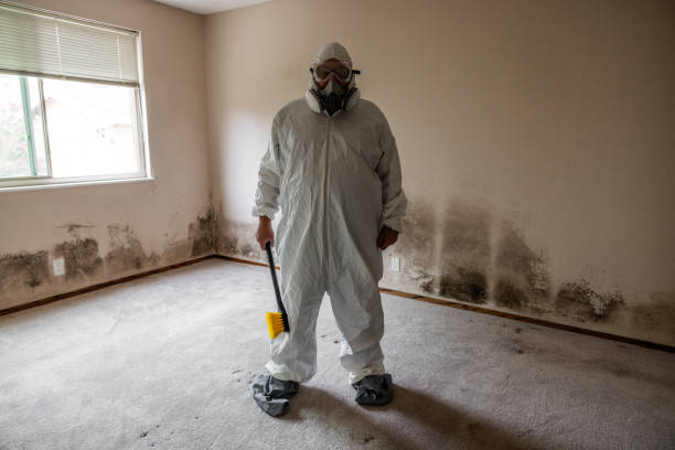 Best Fast Mold Removal  in Larimore, ND